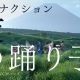 夜の踊り子/サカナクション 歌詞タイピング