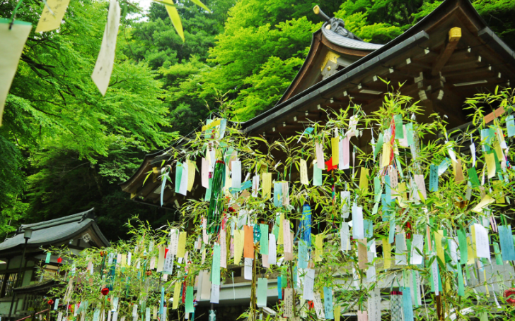 背景