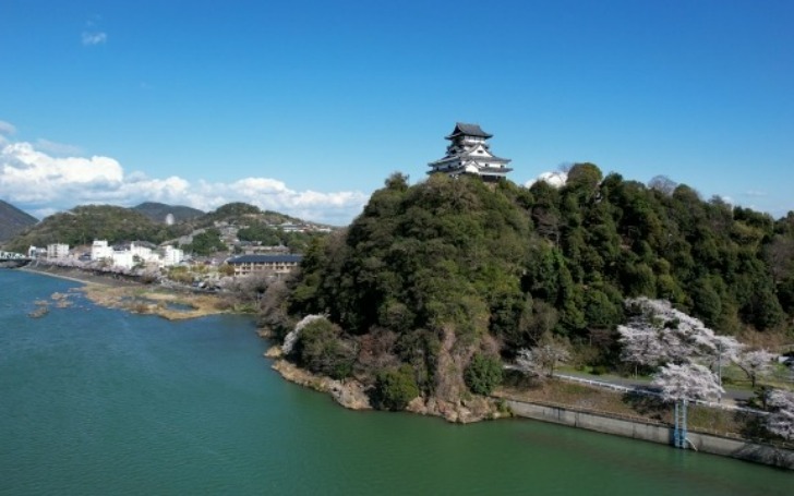 背景