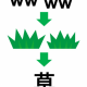 ｗか草どっちか打ち