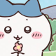 ハチワレ１回