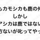 鹿もカモシカも鹿の仲間しかしアシカは鹿ではない