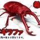 レッドギラファ