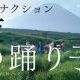 夜の踊り子サビだけ