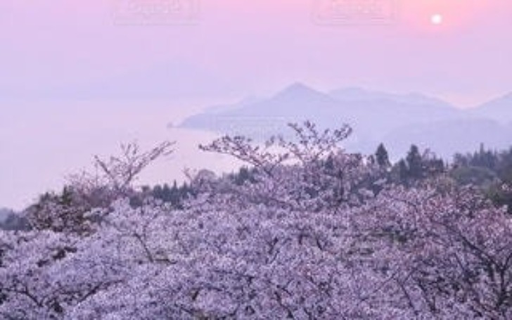 背景