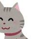 猫1回