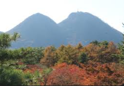 背景
