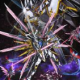 ガンダムＳＥＥＤ一回！