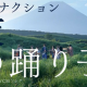「夜の踊り子」１回！！！