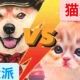 猫派？犬派？