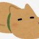 てきとーに、つくってみた　　やってみ