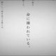 命に嫌われている。　歌詞タイピング