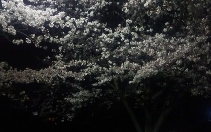 背景