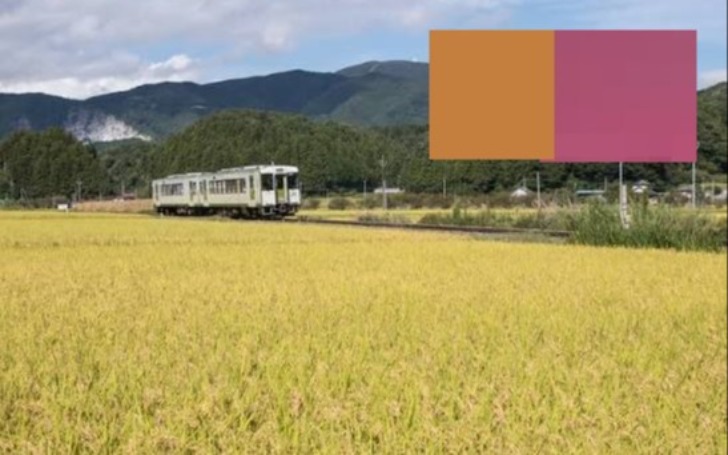 背景