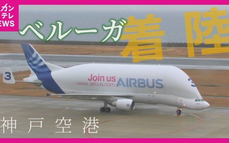 背景