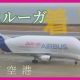 ベルーガ（飛行機）を一回