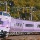 特急スーパーやくも停車駅