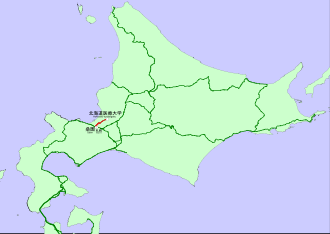 背景