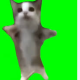 ネコミーム
