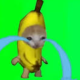 バナナネコ一回！