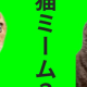 ネコミーム２