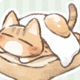 猫種おみくじ