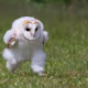 地獄タイム４えっほえっほ
