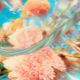 ケセラセラ60秒チャレンジ！！！