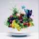Mrs, GREEN APPLE/StaRt