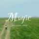Mrs,GRREN APPLE/Magic