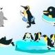 ペンギン