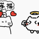 苺猫さん一回