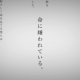 命に嫌われている。歌詞1番