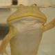 カエルを早く打とう！