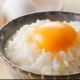 たまごかけごはん　１回