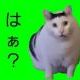 はを打て！