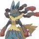 メガシンカポケモンタイピング2