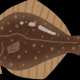 ヒラメ一回