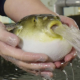 「え」と一回打つ