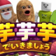 いもいもいもで行きましょう