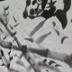 永遠の６年で〜〜〜〜す