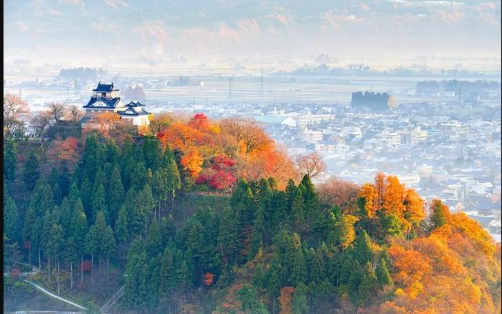 背景