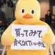 チキン打