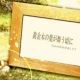 黄金木の葉が舞う頃に