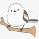 シマエナガ