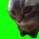 CATSMEME　ネコミーム
