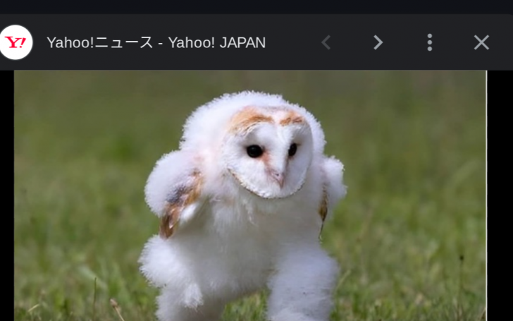 背景