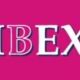 IBEXって打てばいいだけ
