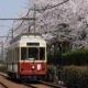 東京さくらトラム都電荒川線 タイピング