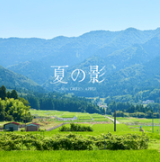 背景